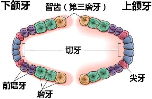 孕妇牙痛怎么处理好